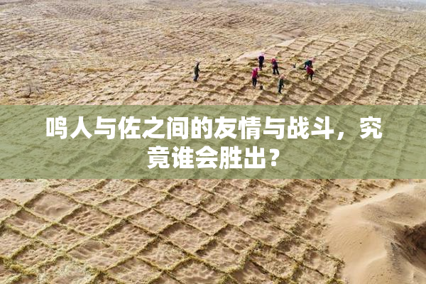鸣人与佐之间的友情与战斗，究竟谁会胜出？