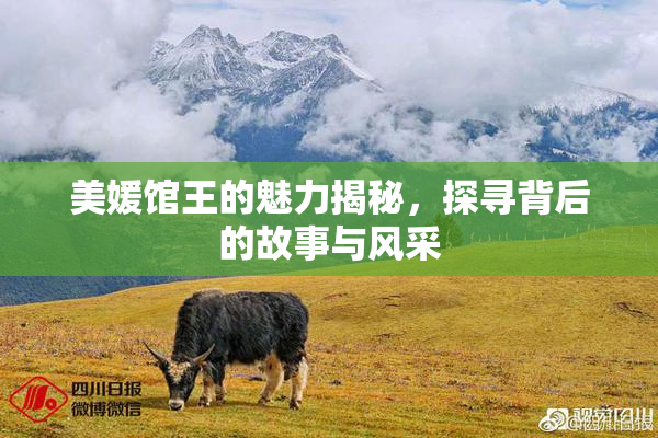 美媛馆王的魅力揭秘，探寻背后的故事与风采