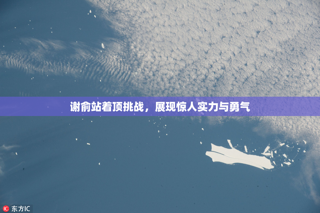 谢俞站着顶挑战，展现惊人实力与勇气