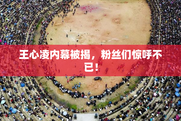 王心凌内幕被揭，粉丝们惊呼不已！