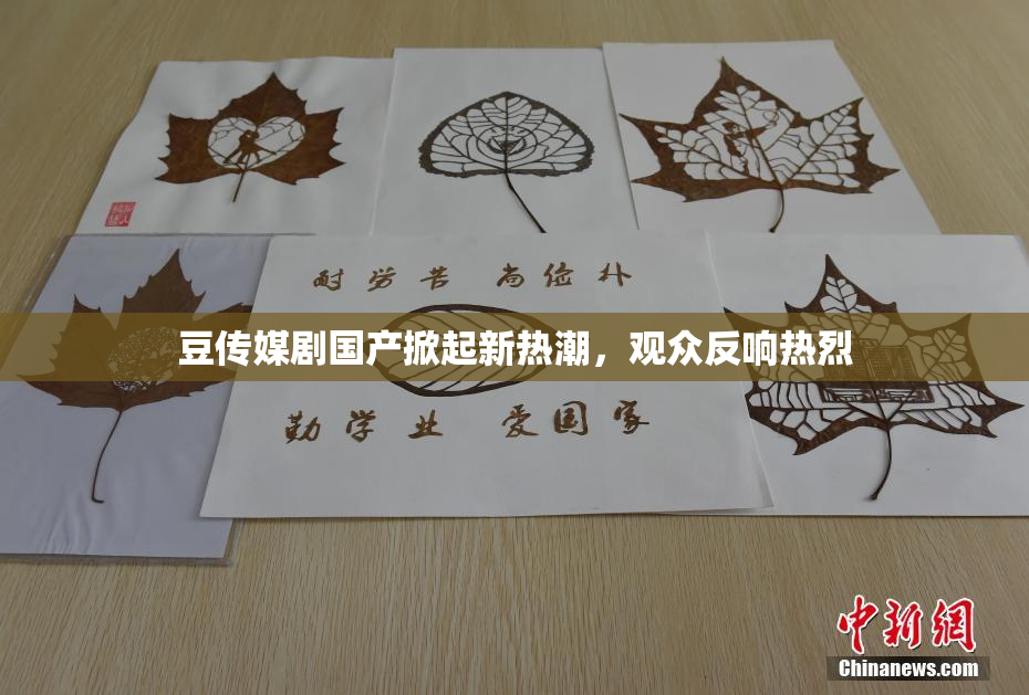 豆传媒剧国产掀起新热潮，观众反响热烈