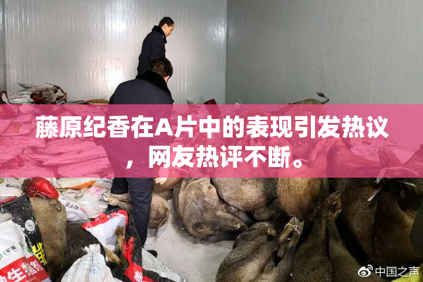 藤原纪香在A片中的表现引发热议，网友热评不断。