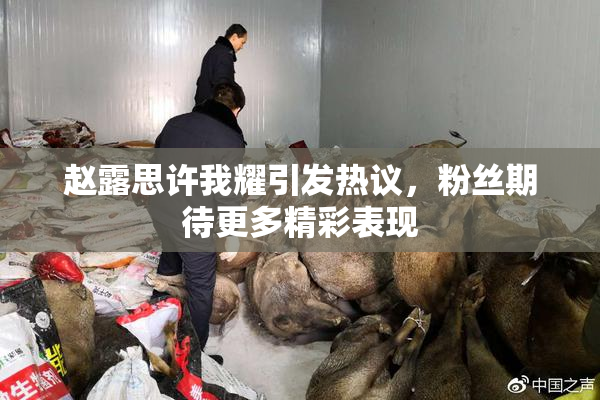 赵露思许我耀引发热议，粉丝期待更多精彩表现