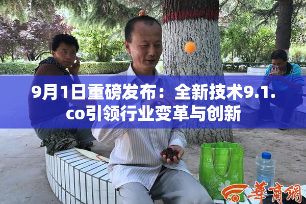 9月1日重磅发布：全新技术9.1.co引领行业变革与创新