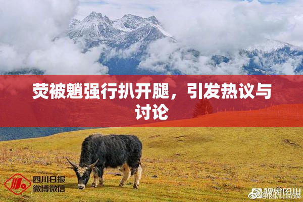 荧被魈强行扒开腿，引发热议与讨论