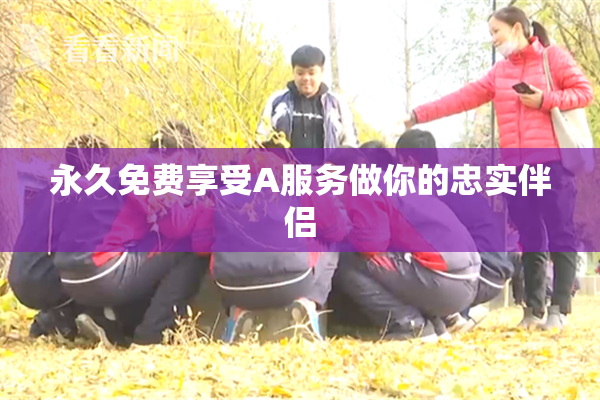 永久免费享受A服务做你的忠实伴侣