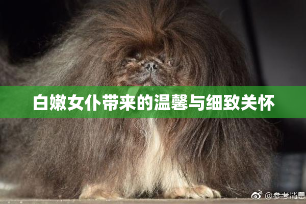 白嫩女仆带来的温馨与细致关怀