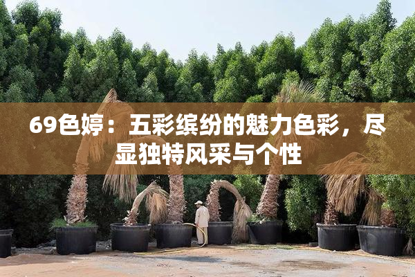 69色婷：五彩缤纷的魅力色彩，尽显独特风采与个性