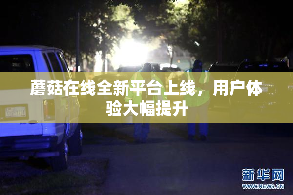 蘑菇在线全新平台上线，用户体验大幅提升