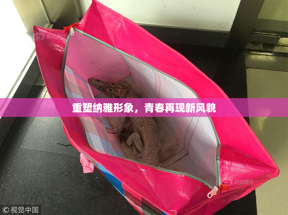 重塑纳雅形象，青春再现新风貌