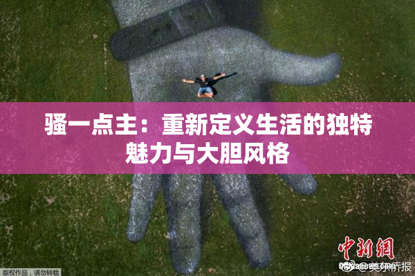 骚一点主：重新定义生活的独特魅力与大胆风格