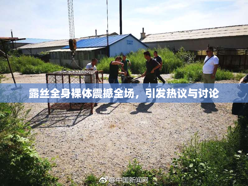 露丝全身裸体震撼全场，引发热议与讨论