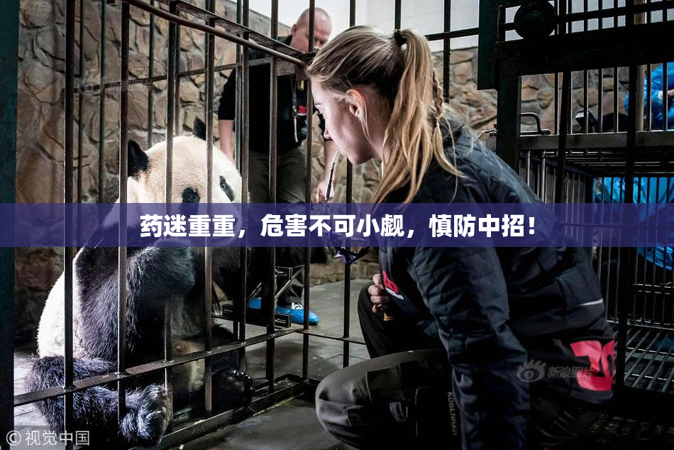 药迷重重，危害不可小觑，慎防中招！