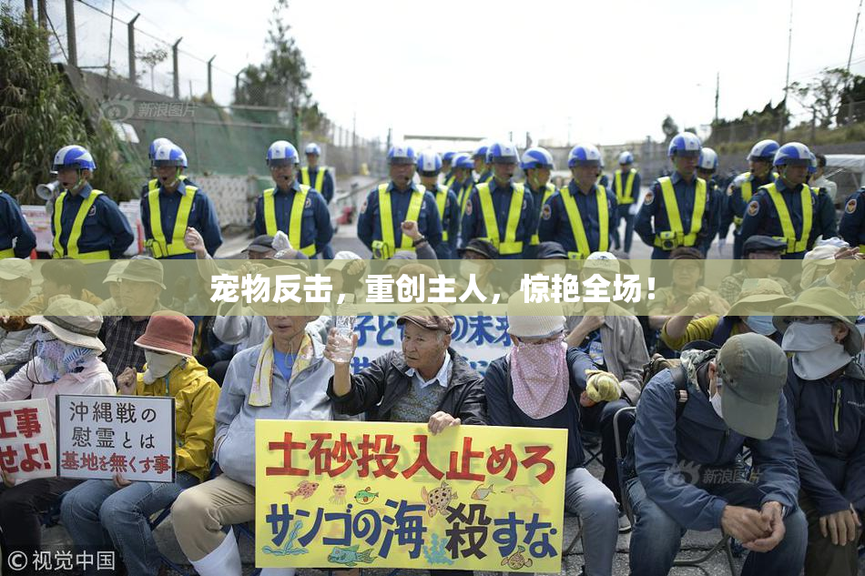 宠物反击，重创主人，惊艳全场！