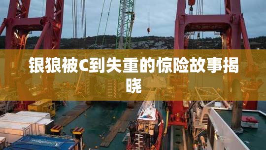 银狼被C到失重的惊险故事揭晓