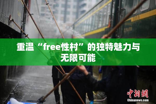 重温“free性村”的独特魅力与无限可能