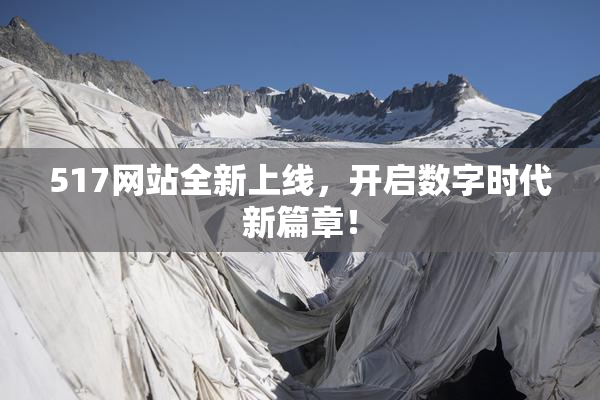 517网站全新上线，开启数字时代新篇章！