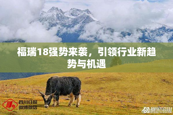 福瑞18强势来袭，引领行业新趋势与机遇