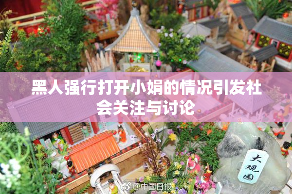 黑人强行打开小娟的情况引发社会关注与讨论