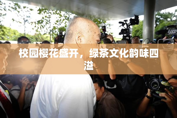 校园樱花盛开，绿茶文化韵味四溢