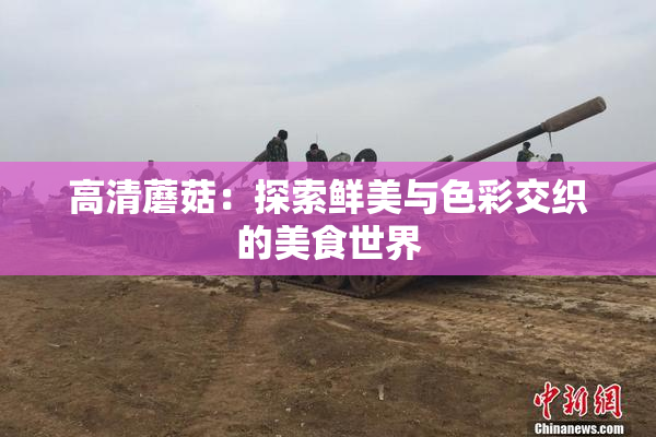 高清蘑菇：探索鲜美与色彩交织的美食世界