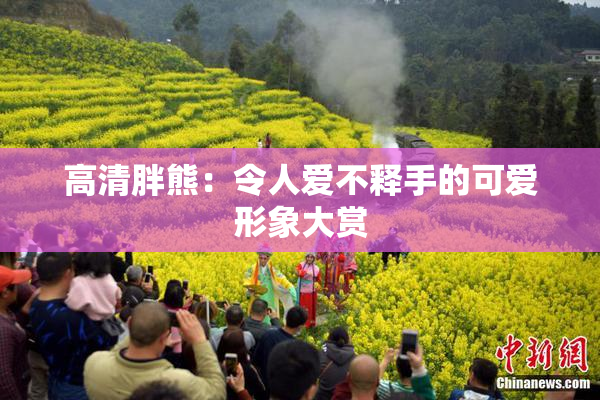 高清胖熊：令人爱不释手的可爱形象大赏