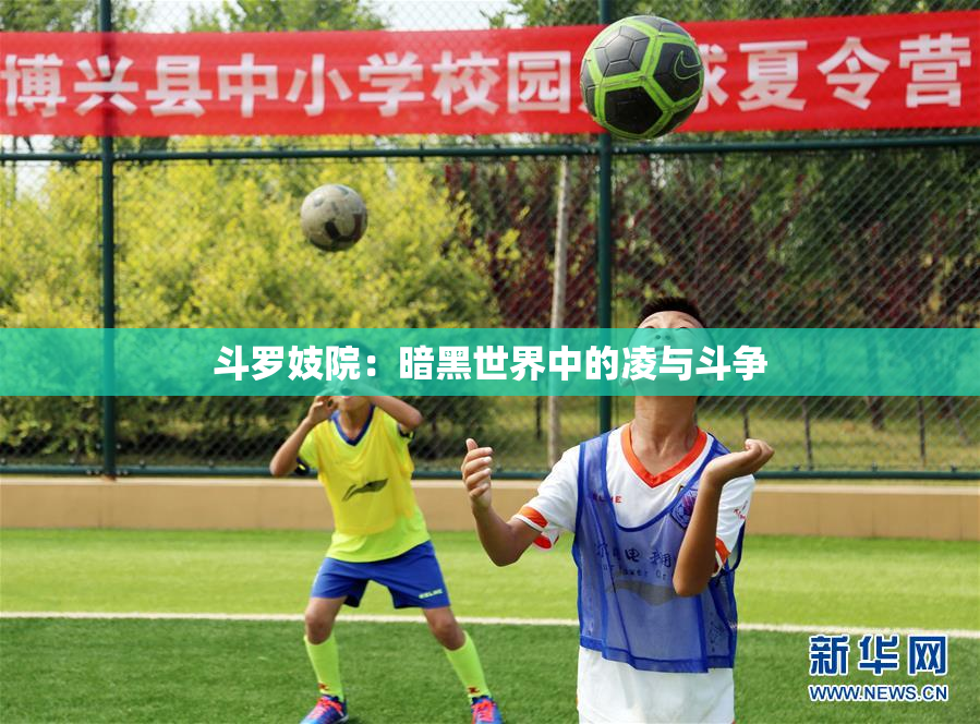 斗罗妓院：暗黑世界中的凌与斗争