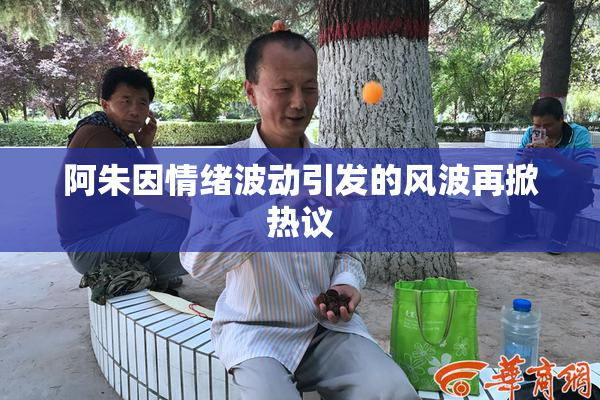 阿朱因情绪波动引发的风波再掀热议