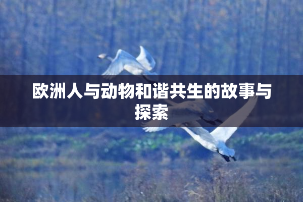 欧洲人与动物和谐共生的故事与探索