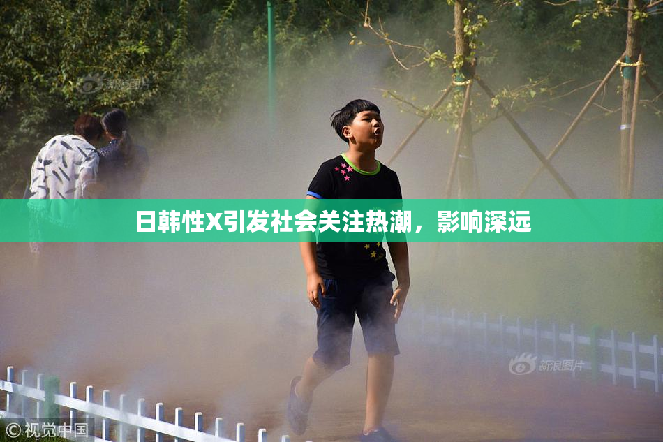 日韩性X引发社会关注热潮，影响深远