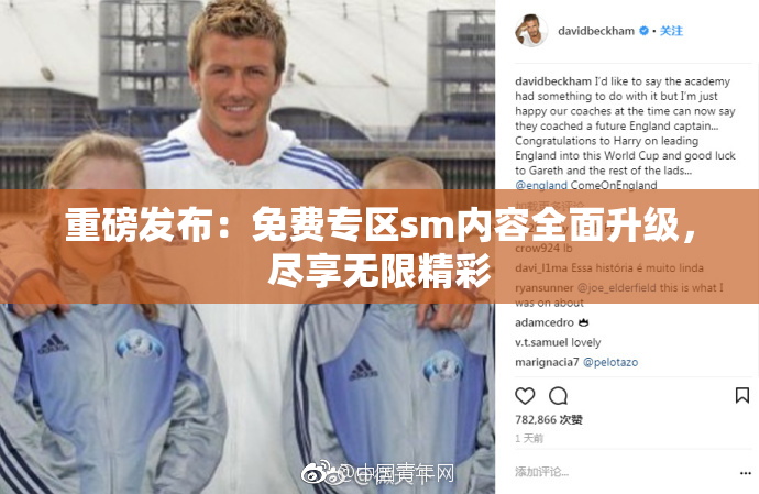 重磅发布：免费专区sm内容全面升级，尽享无限精彩