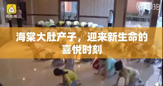 海棠大肚产子，迎来新生命的喜悦时刻