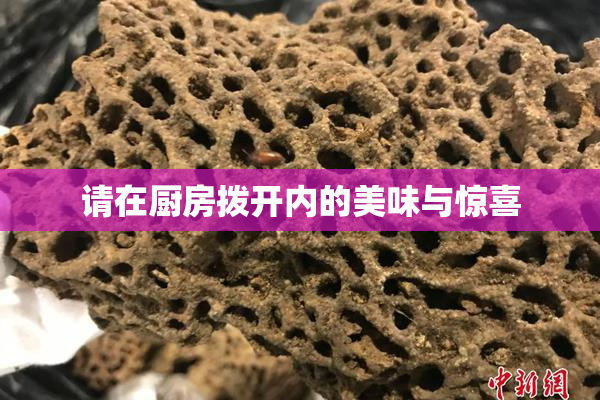 请在厨房拨开内的美味与惊喜