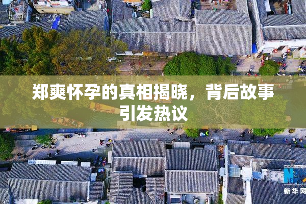 郑爽怀孕的真相揭晓，背后故事引发热议