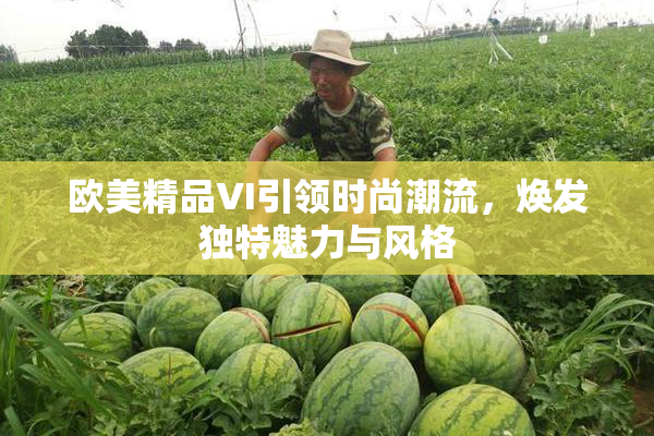 欧美精品VI引领时尚潮流，焕发独特魅力与风格
