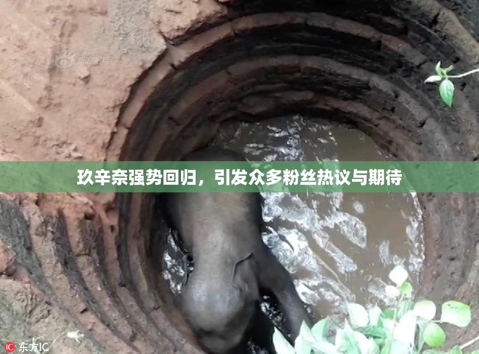 玖辛奈强势回归，引发众多粉丝热议与期待