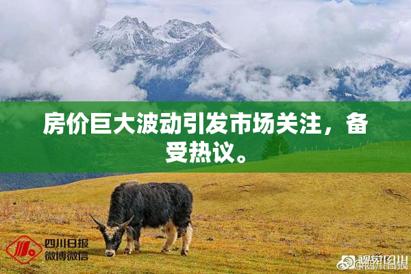 房价巨大波动引发市场关注，备受热议。