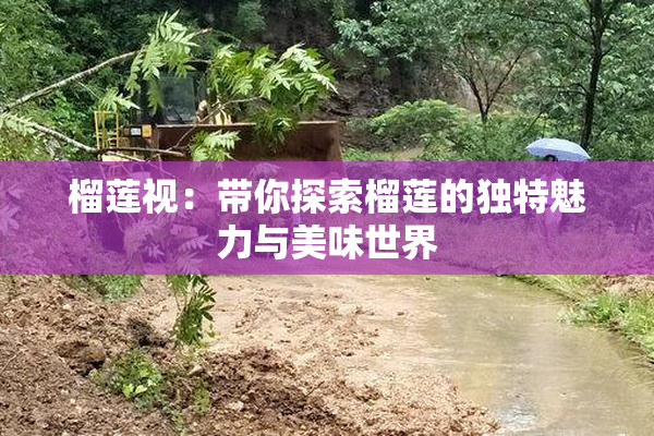 榴莲视：带你探索榴莲的独特魅力与美味世界