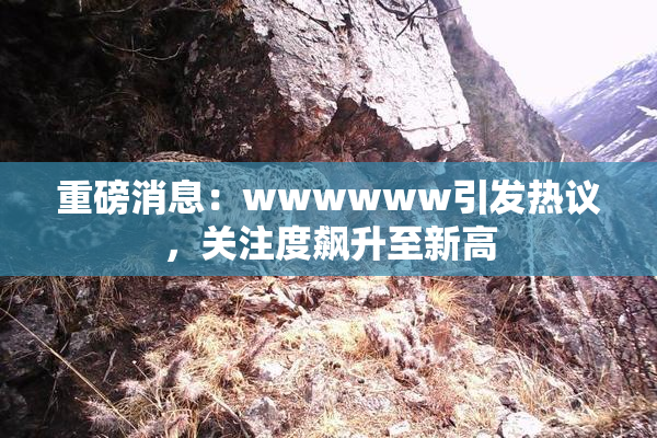 重磅消息：wwwwww引发热议，关注度飙升至新高