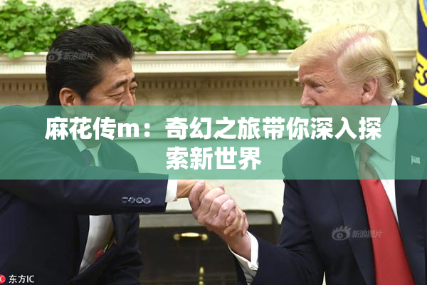 麻花传m：奇幻之旅带你深入探索新世界