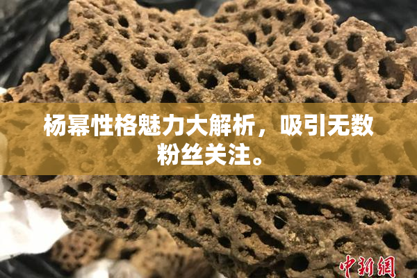杨幂性格魅力大解析，吸引无数粉丝关注。