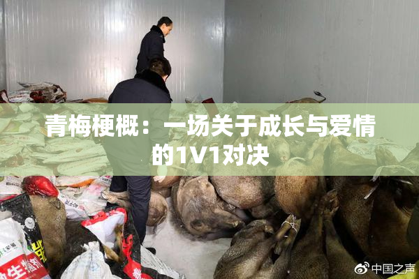 青梅梗概：一场关于成长与爱情的1V1对决