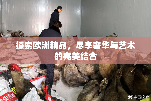 探索欧洲精品，尽享奢华与艺术的完美结合