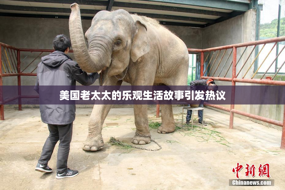 美国老太太的乐观生活故事引发热议