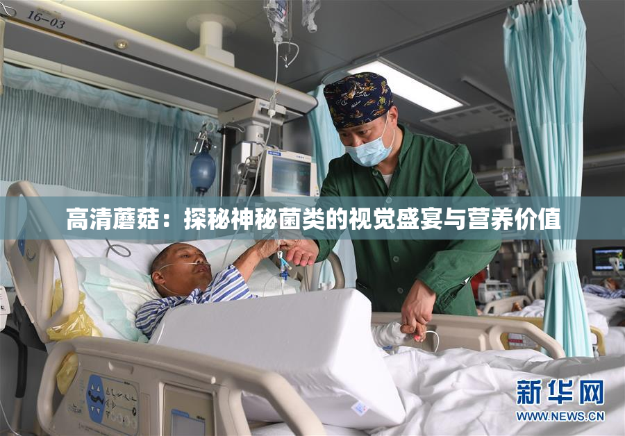 高清蘑菇：探秘神秘菌类的视觉盛宴与营养价值