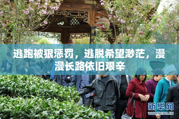 逃跑被狠惩罚，逃脱希望渺茫，漫漫长路依旧艰辛