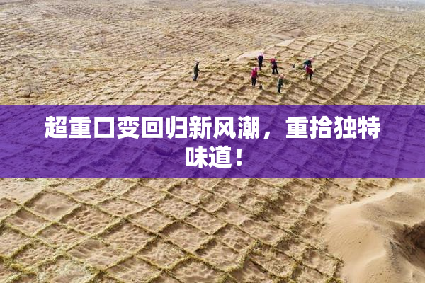 超重口变回归新风潮，重拾独特味道！