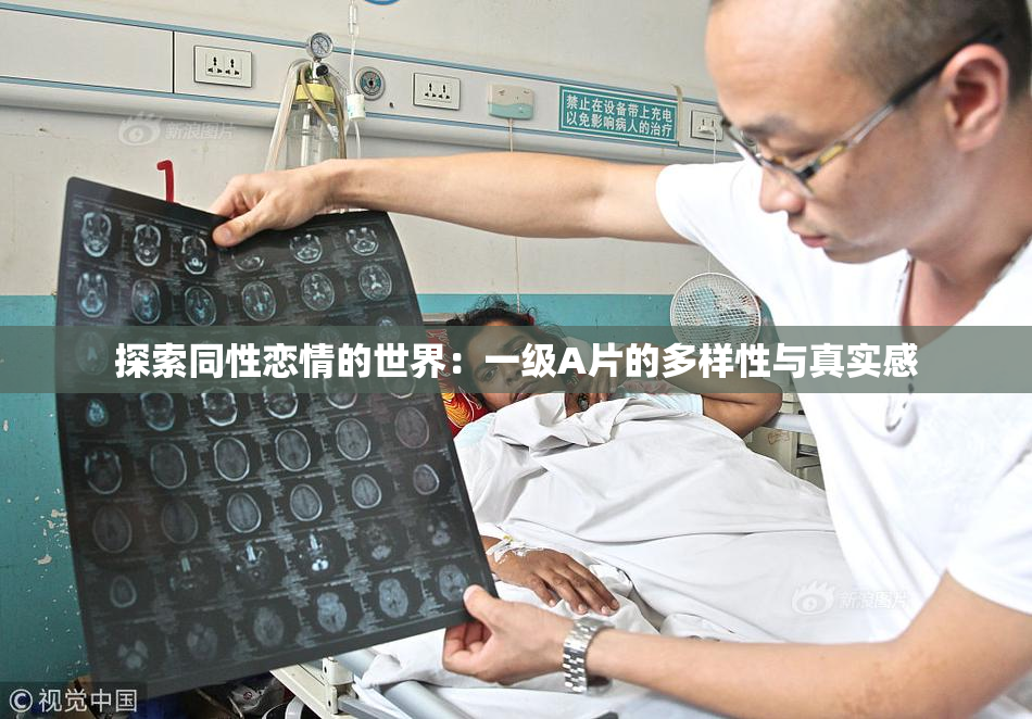 探索同性恋情的世界：一级A片的多样性与真实感
