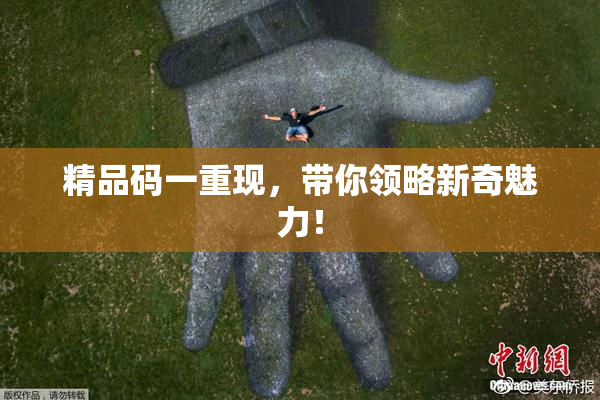 精品码一重现，带你领略新奇魅力！