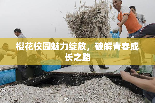 樱花校园魅力绽放，破解青春成长之路